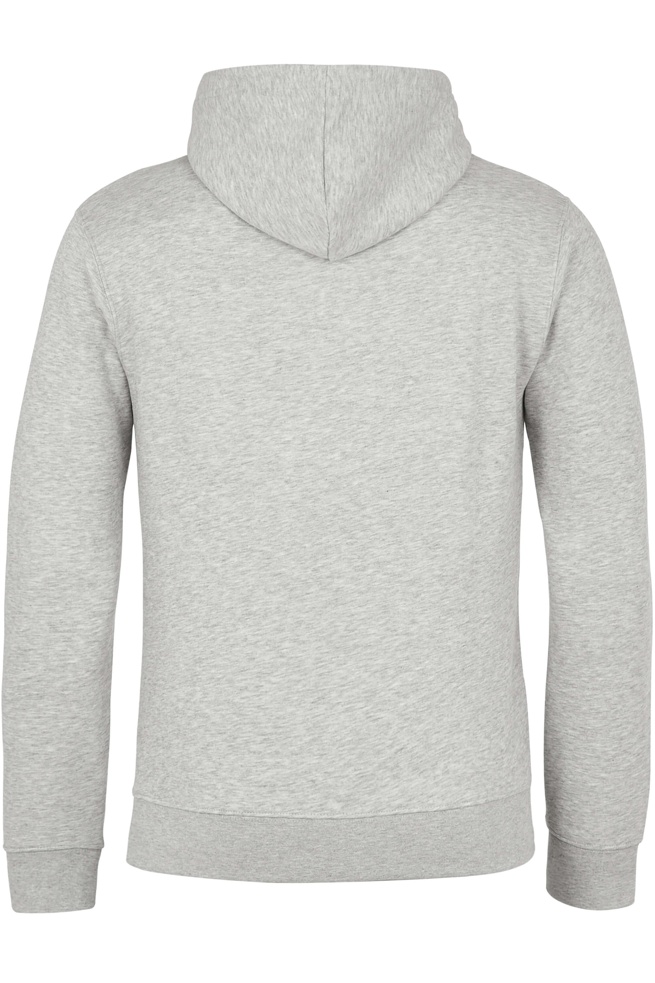 Grauer Berentzen Hoodie Grauer Berentzen Hoodie von Hinten